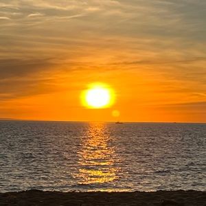 Meet your Posher, Ellen